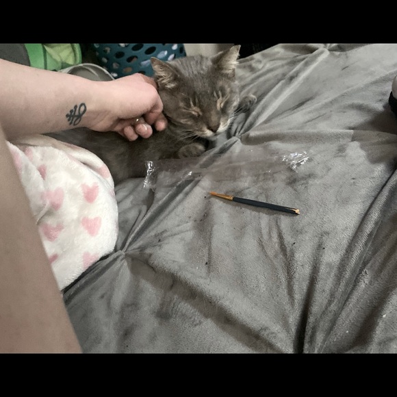 Meet your Posher - Picture 8 of 8